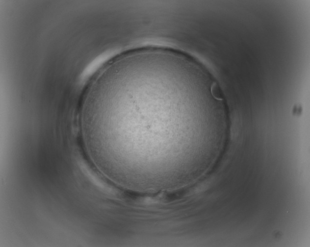 X0000114171271200910151628