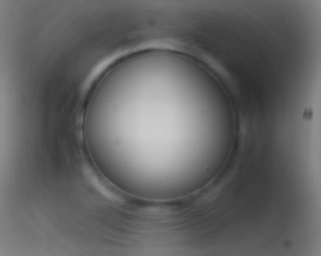 X0000114171272200910151628
