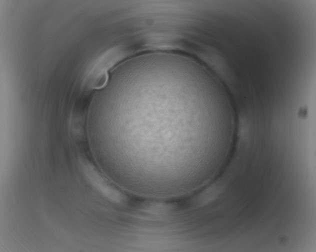 X0000114171273200910151628