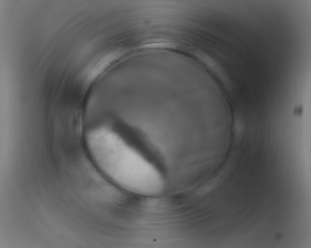 X0000114171274200910151628