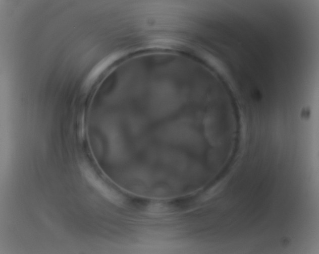 X0000114171275200910151628