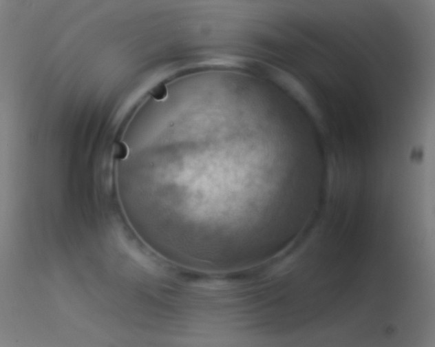 X0000114171276200910151628