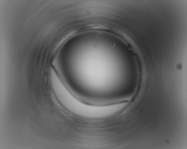 X0000114171281200910151628
