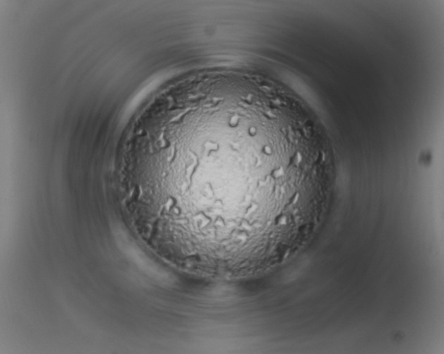 X0000114171283200910151628