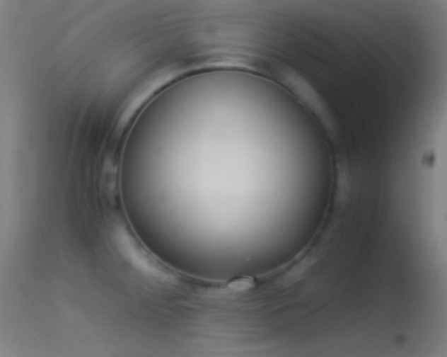X0000114171284200910151628