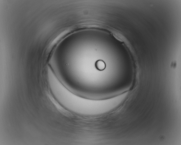 X0000114171285200910151628