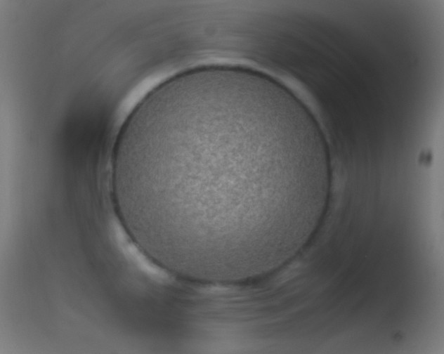X0000114171287200910151628