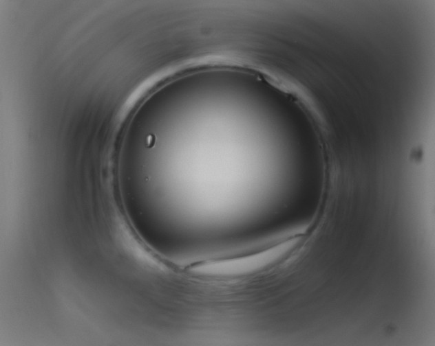 X0000114171288200910151628
