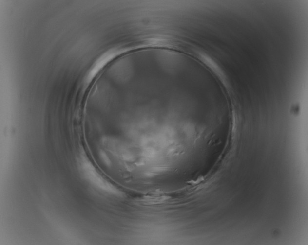 X0000114171291200910151628