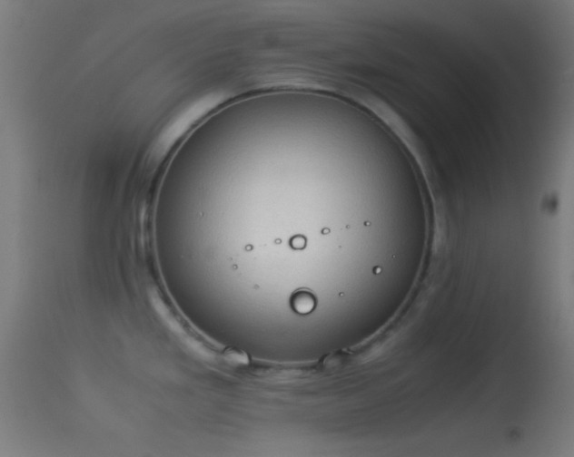 X0000114171293200910151628