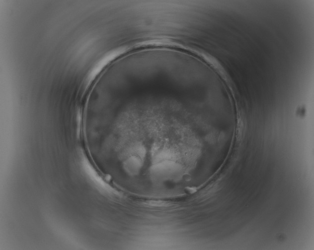 X0000114171295200910151628
