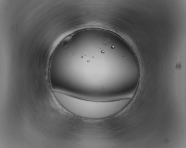 X0000114171296200910151628