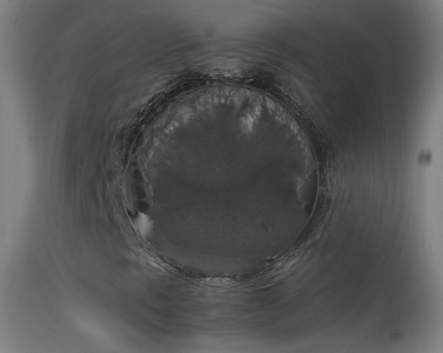 X0000114171297200910151627