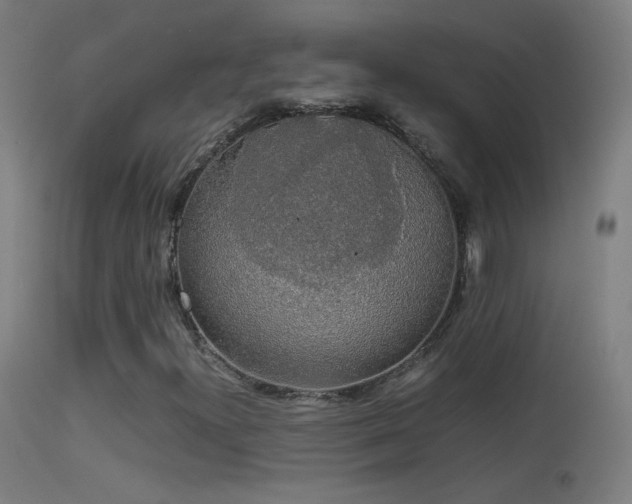 X0000114171300200910151627