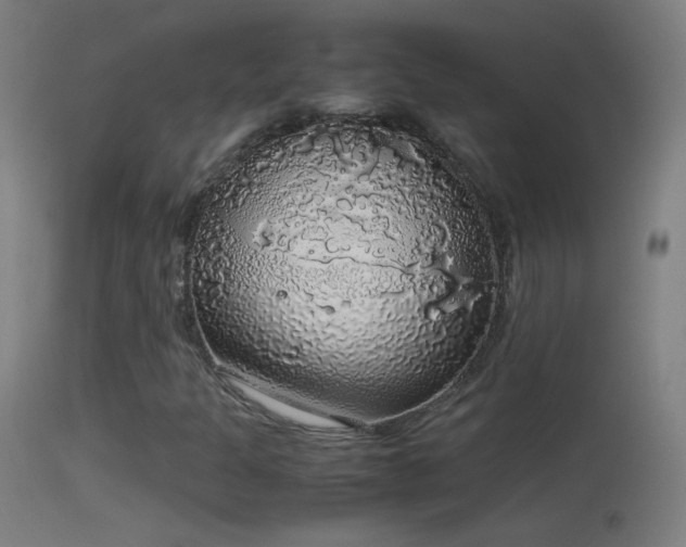 X0000114171301200910151627