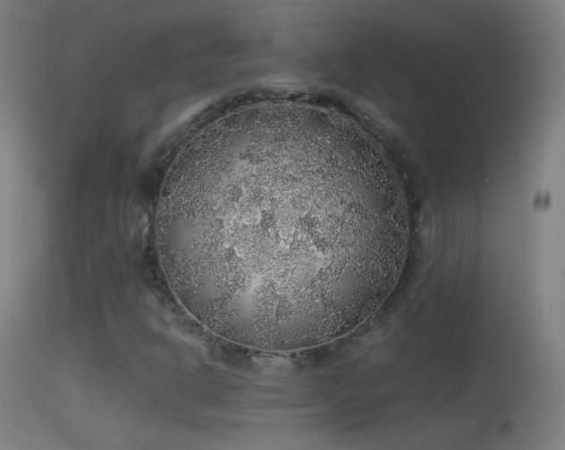 X0000114171302200910151627