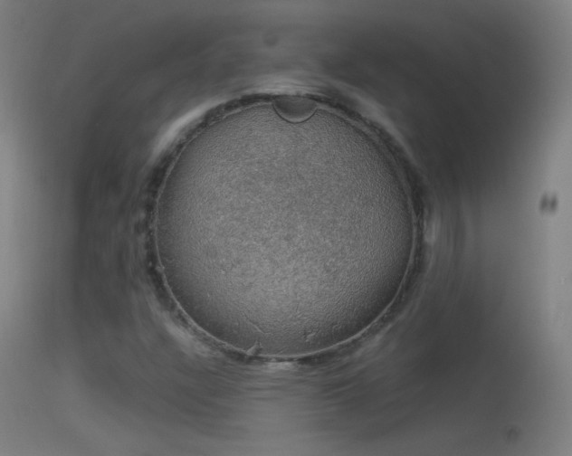 X0000114171304200910151627