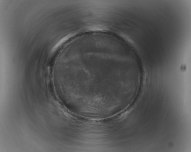 X0000114171306200910151627