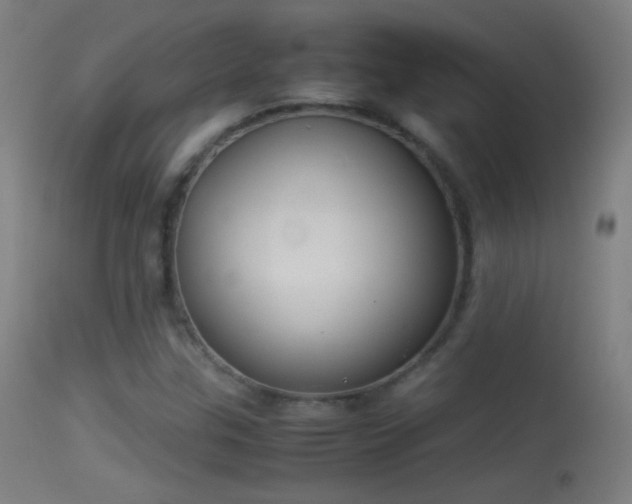 X0000114171307200910151627