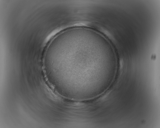 X0000114171308200910151627