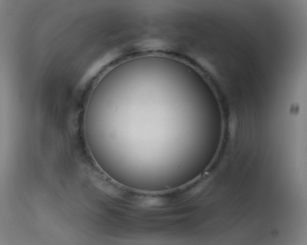 X0000114171309200910151627