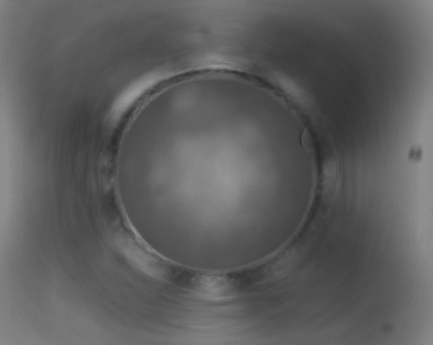 X0000114171310200910151627