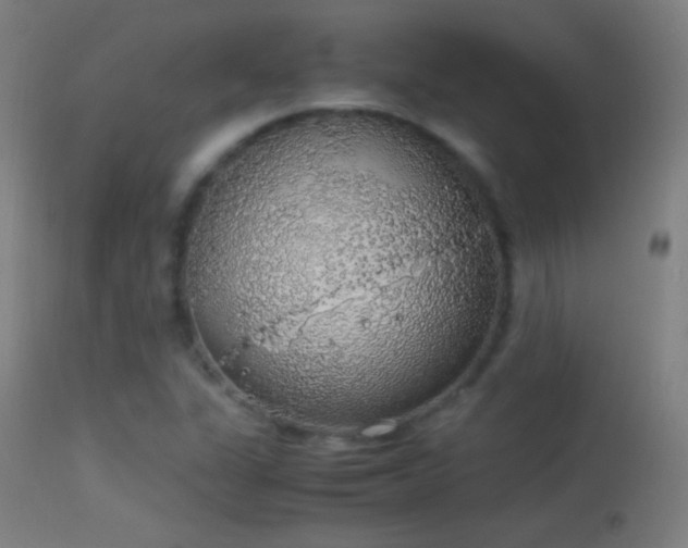 X0000114171311200910151627