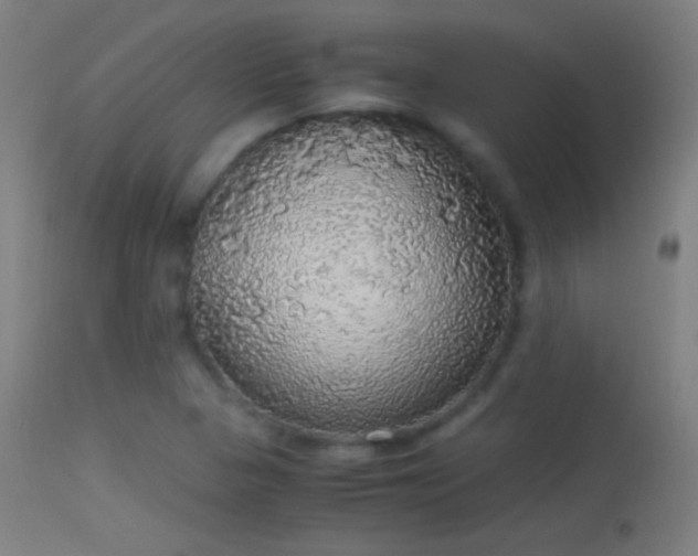 X0000114171313200910151627