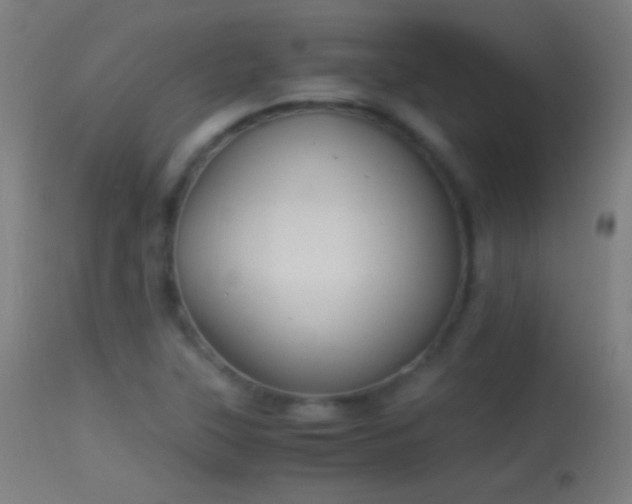 X0000114171315200910151627