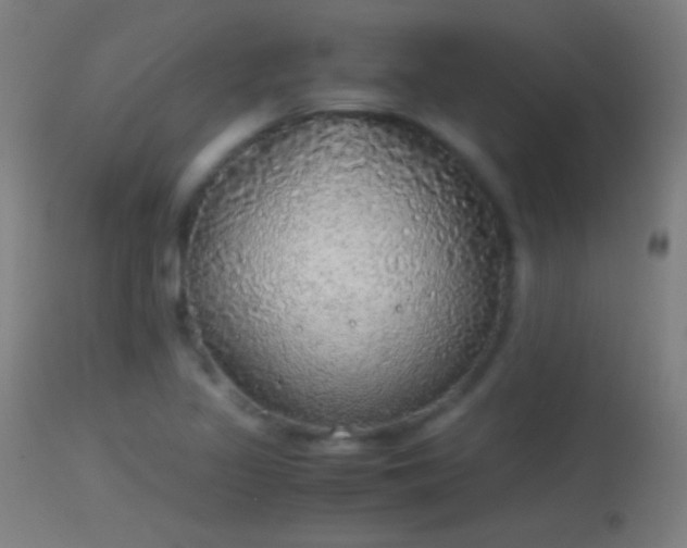 X0000114171317200910151627