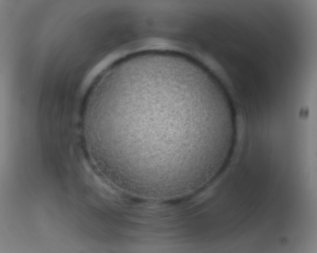 X0000114171318200910151627
