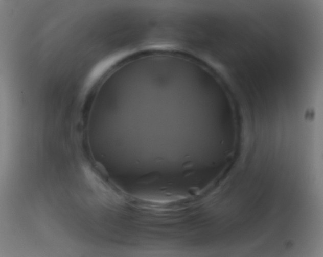 X0000114171319200910151627