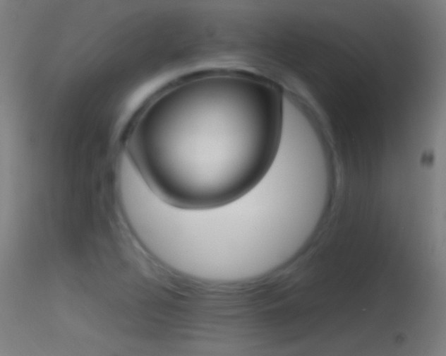 X0000114171320200910151628