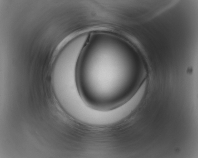 X0000114171324200910151628