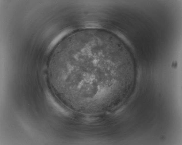X0000114171325200910151628