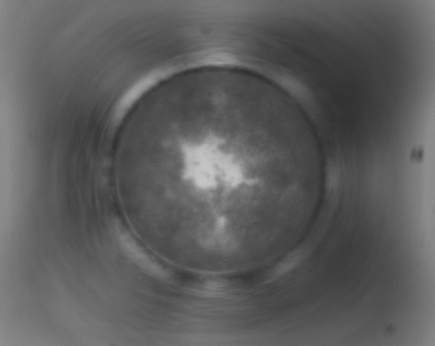 X0000114171326200910151628