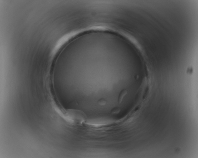 X0000114171327200910151628