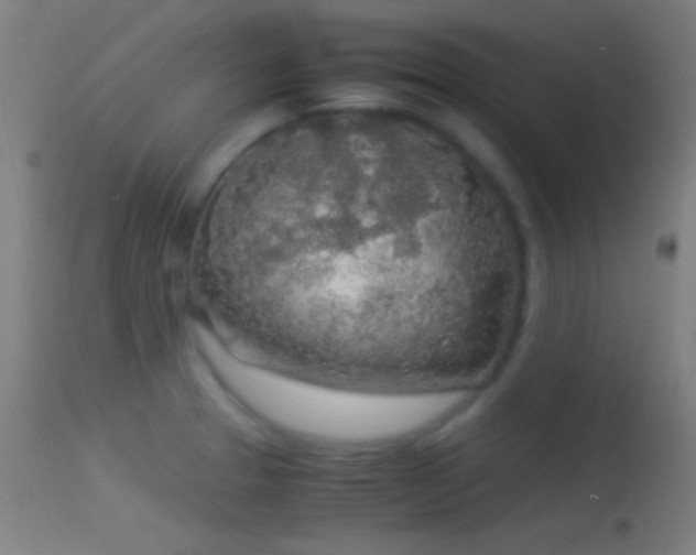 X0000114171329200910151628