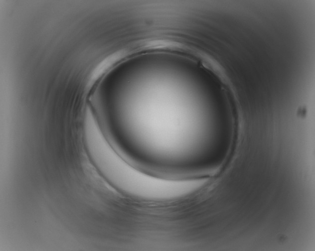 X0000114171330200910151628