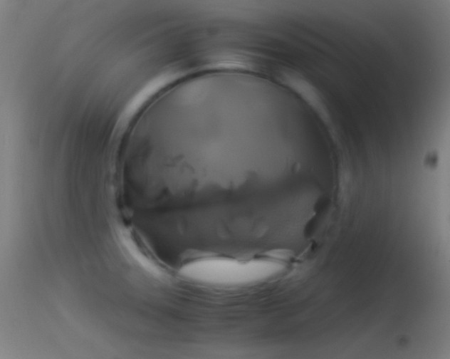 X0000114171331200910151628