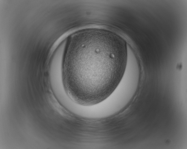 X0000114171332200910151628