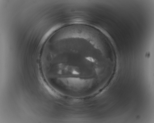 X0000114171333200910151628
