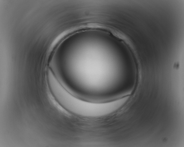 X0000114171334200910151628