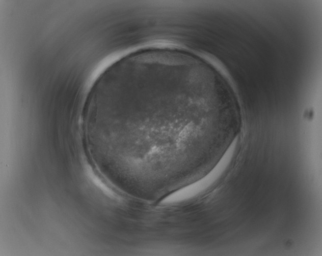 X0000114171335200910151628