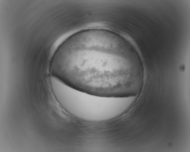 X0000114171336200910151628