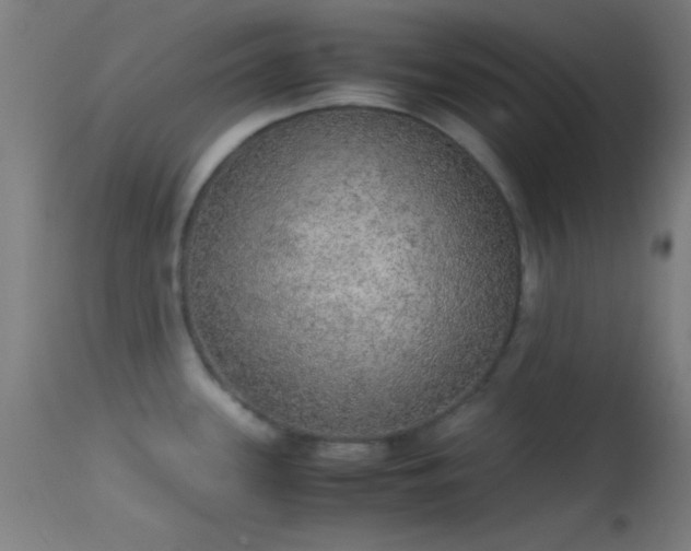 X0000114171339200910151628