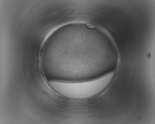 X0000114171340200910151628