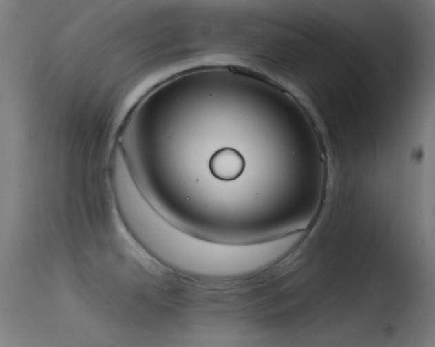 X0000114171342200910151628