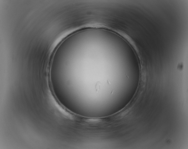 X0000114171343200910151628