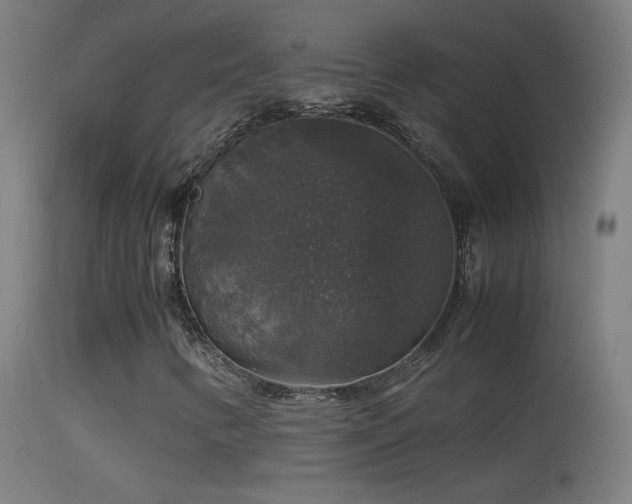X0000114171346200910151627
